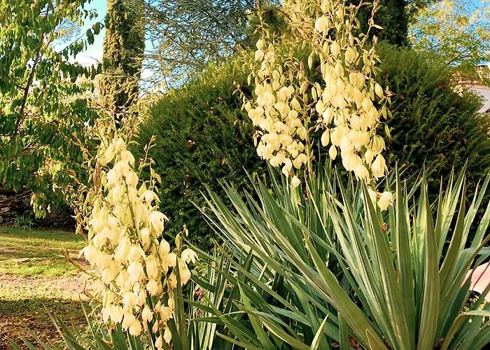 לינה וארוחת בוקר Mas Parenthese - Et Table D'hotes Loze